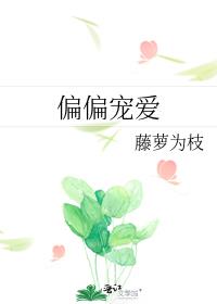 偏偏宠爱小说免费