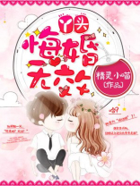 丫头,悔婚无效 小说