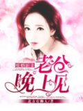 暖婚新妻,老公晚上见