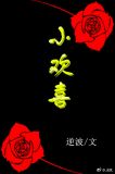 小欢喜