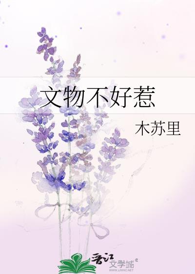 文物不好惹讲的什么