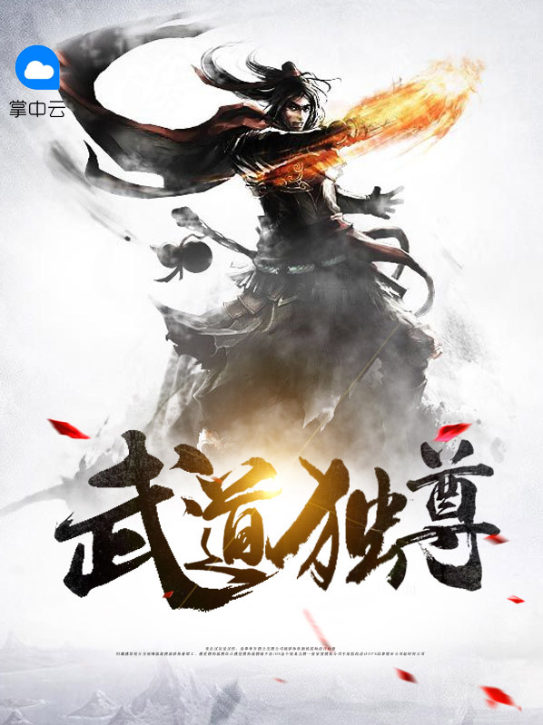 武道独尊叶铭几个老婆