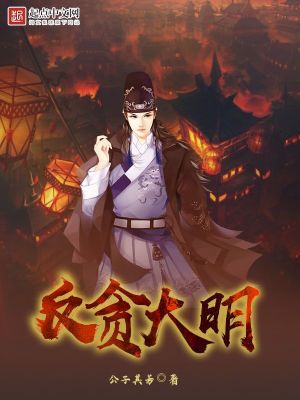 大明反贼小说