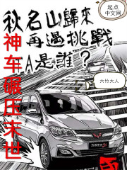 末世汽车流小说