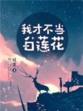 不当白莲花什么意思