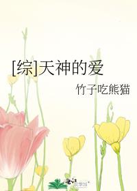 是一个天神的爱台词