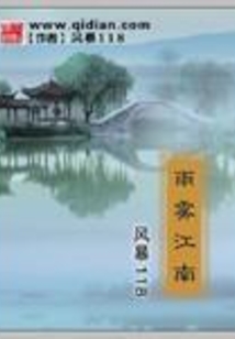 雨雾江南 风暴118
