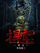 捍宝小说结局