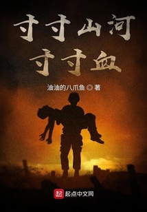 寸寸山河寸寸血下载