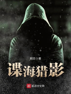 谍海猎影免费下载