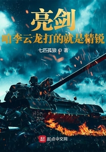亮剑咱李云龙打的 小说