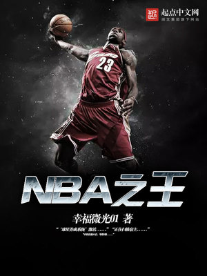 NBA之王毅之大众小说