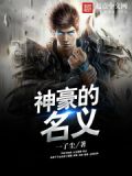 以神之骑士的名义