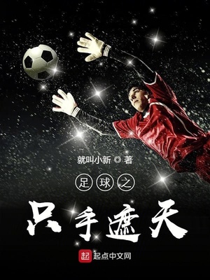 足球之只手遮天TXT下载精校版