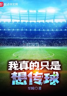我真的只是想传球免费阅读