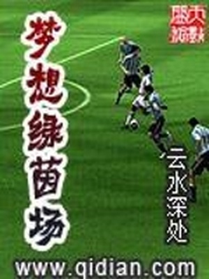 梦想绿茵场cp是谁