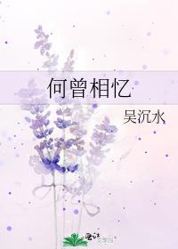 何曾相忆烽火路(全集) 吴沉水