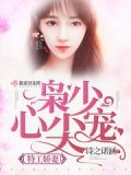 名门军婚,枭少暖宠特工妻