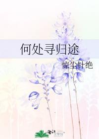 何处寻归途小说