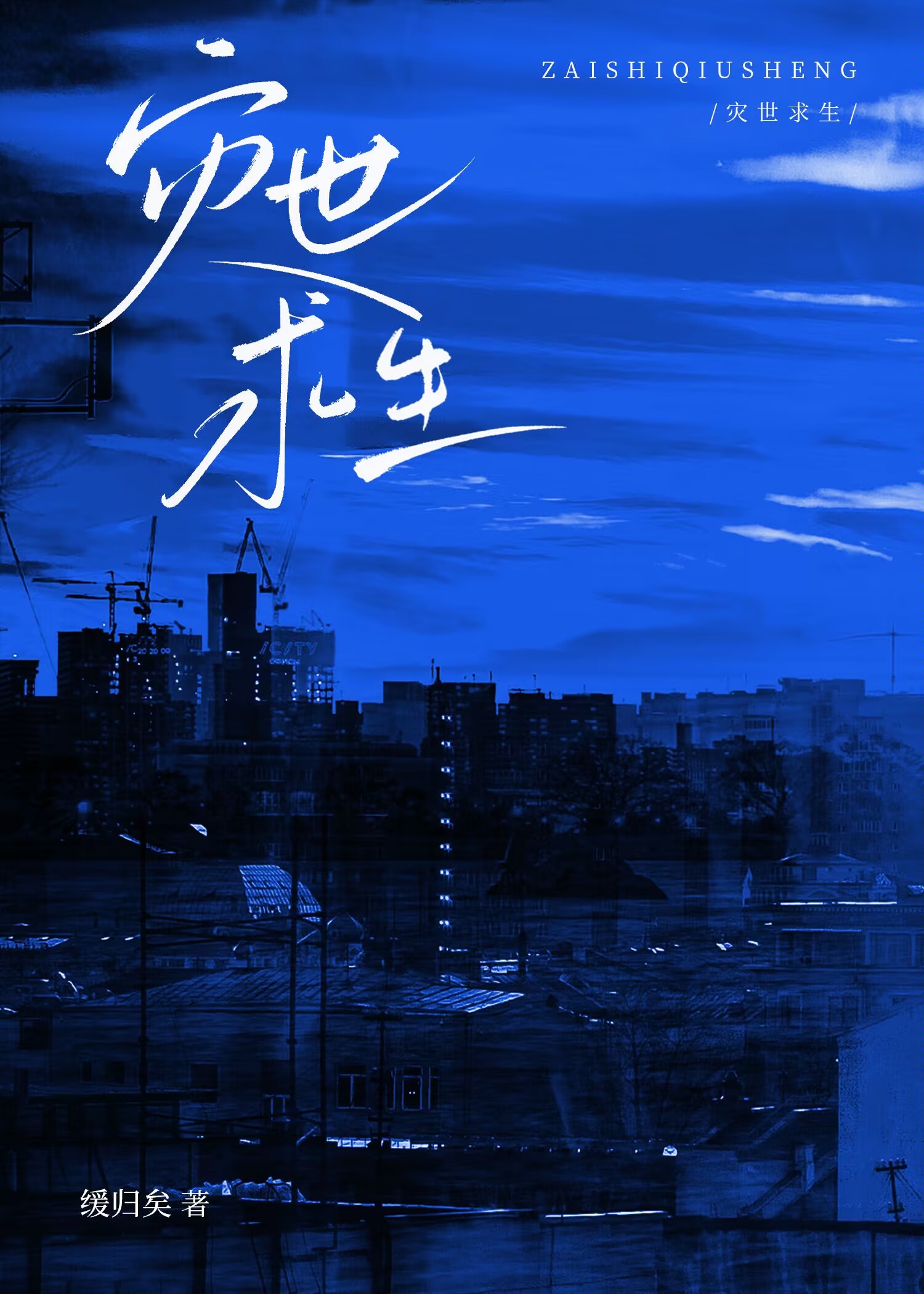 灾世求生小说