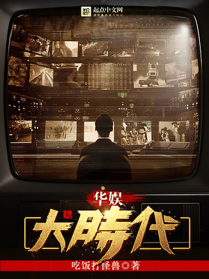 华娱大时代小说