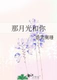 那月光和你