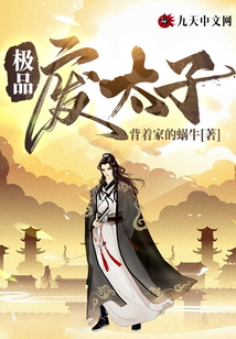 极品废太子宁安免费阅读小说