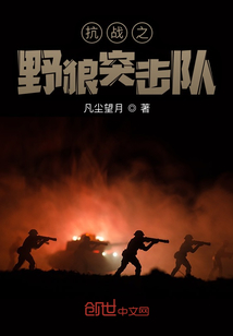 抗战之野狼突击队全文免费阅读