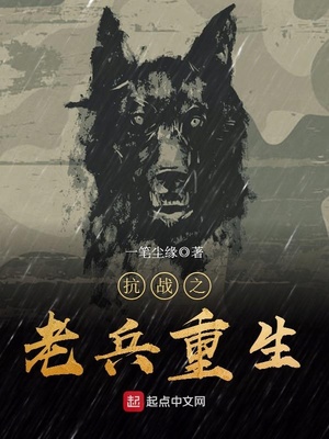 抗战之老兵重生起点中文网