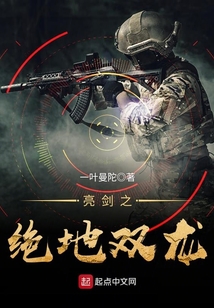 亮剑之绝地双龙电视剧优酷网