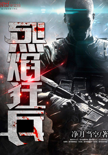烈焰狂兵免费阅读