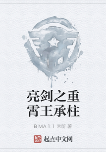 亮剑之重霄王承柱TXT