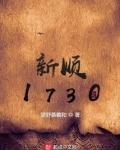 新顺1730