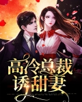 高冷总裁诱甜妻