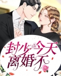 封少，今天离婚不