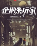企鹅系玩家