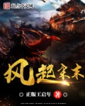 回到宋末玩三国