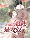 萌宝赐福：总裁是妻奴