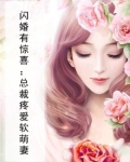 闪婚有惊喜：总裁疼爱软萌妻