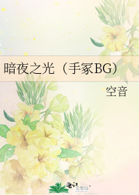 暗夜之光(手冢BG)