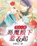 引火上身，恶魔殿下惹不起