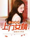 女总裁的上门女婿（又名超级上门女婿）