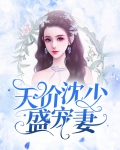 天价沈少盛宠妻