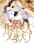 大佬，你的夫人又逆天了