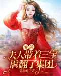 凌总，夫人带着三宝虐翻了集团