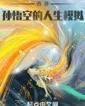 西游：孙悟空的人生模拟