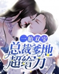 一胎双宝：总裁爹地超给力