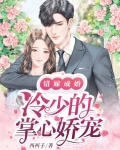 错嫁成婚：冷少的掌心娇宠