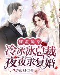膝盖跪穿，冷冰冰总裁夜夜求复婚